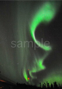 ���i�ʐ^�|�X�^�[ �A���X�J �I�[���� �Ɋ��̖��ɕ����~���_��̌��̃x�[�� pst-421