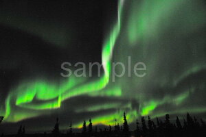 iʐ^|X^[ AXJ I[ Ɋ̖ɕ~_̌̃x[ pst-424