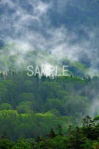 iʐ^|X^[ 茧 Β Ԓ CeA Ǌ| Ǐ ͗lւ ͋C rO _CjO ItBX  osp-23