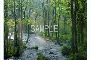  ֒ ̒ 4W iʐ^ 4W-207