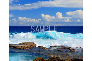 iʐ^|X^[  k哌̊C ̐E  _ ̓ C g osp-k74