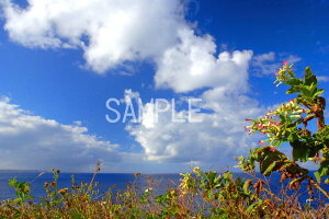 iʐ^|X^[  k哌̊C ƐC     G Ǌ| CeA G C ^yXg[ osp-k10