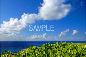 iʐ^|X^[  k哌̊C ƐC v[g Mtg i ԗ j  Vz z a LO Nj osp-k13