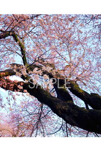  yY ^珬wZ  4 iʐ^ 4-39