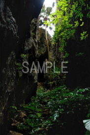 風景写真ポスター 沖縄 南大東島 バリバリ岩 島の大自然に魅せられて osp-52