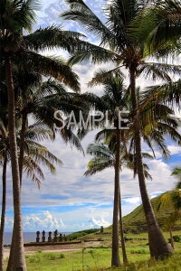 iʐ^|X^[ EY C[X^? AtEiEiẼACƃV̖ 01 v[g Mtg j  Vz a Nj LO psmoai-16