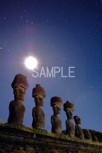 iʐ^|X^[ EY C[X^? AtEiEiẼACƌ v[g Mtg j  Vz a Nj LO psmoai-8