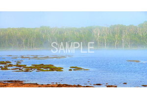 iʐ^|X^[ kC t T[o^n v[g Mtg j  Vz a LO Nj osp-94