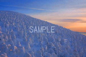 iʐ^|X^[ R`  X 厩R̔͂iF CeA Ǌ| Ǐ ͗lւ ͋C rO _CjO ItBX  pst-2