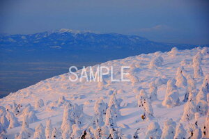 iʐ^|X^[ R`  X 厩R̔͂iF OtBbN A[g CeA EH[fR ₵ IV _ pst-4