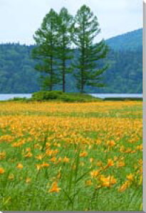 iʐ^|X^[  LXQ {̎lGꏊ CeA Ǌ| Ǐ ͗lւ ͋C rO _CjO ItBX  osp-n12