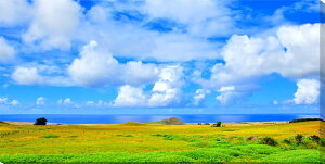 iʐ^pl EY C[X^[ ƊCƑ ʉ摜 LoXn CeA EH[fR OtBbN pl ʐ^ ͗lւ ͋C  ItBX rO v[