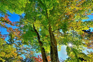 iʐ^pl s ω gt 12 CeA A[gpl EH[A[g OtBbNA[g pl ʐ^ Ǌ| Ǐ ͗lւ ͋C i iF  H R ₵ 