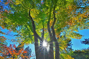 iʐ^pl s ω gt18 A[gpl CeA EH[A[g pl ʐ^ zv炸 Ǌ| Ǐ ͗lւ ͋C  ̎vo ₵ q[O IV