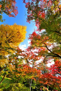 iʐ^pl s ω gt 20 CeA A[gpl EH[A[g pl ʐ^ Ǌ| Ǐ zv炸 ͗lւ ͋C v[g Mtg j  Vz z