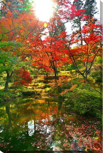 iʐ^pl s ω gt 04 ʉ摜 A[gpl CeA EH[A[g OtBbN pl ʐ^ H R  a ₵  Ǌ| Ǐ zv炸 