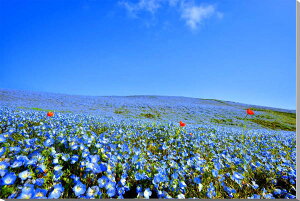 iʐ^pl  ЂCl ltB  {^jJ CeA A[gpl pl ʐ^ Ǐ Ǌ| zv炸 ͗lւ ͋C  ̎vo ₵ q[O 