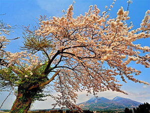 iʐ^pl  c㒬 ֒Rƍ 14 CeA A[gpl EH[fR fBXvC pl ʐ^ R  {^jJ Ǐ Ǌ| zv炸 ͗lւ ͋C   