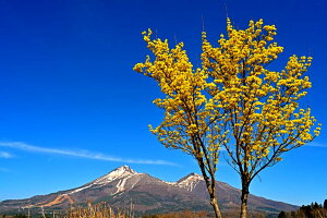 iʐ^pl  c㒬 ֒RƃTV (R΁j 03 CeA A[gpl ʐ^ pl Ǌ| Ǐ ͗lւ ͋C  rO _CjO ItBX  FUK-BDS-17-M