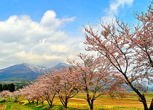 iʐ^pl  c㒬 ֒Rƍ 15 CeA A[gpl pl ʐ^ R  t iF Ǌ| Ǐ ͗lւ ͋C  rO _CjO ItBX  v[g M