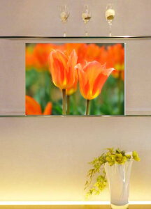 iʐ^pl `[bv LoXn {^jJ CeA A[gpl pl ʐ^ OtBbN EH[fR Ǌ| Ǐ zv炸 ͗lւ ͋C  IV 