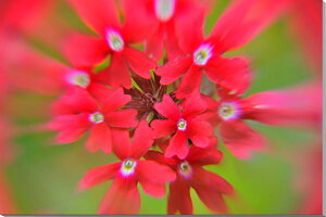iʐ^pl o[xi LoXn  {^jJ CeA A[gpl OtBbNA[g EH[fR pl ʐ^ ₵  _ Ǐ Ǌ| zv炸 ͗lւ 