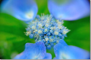 iʐ^pl AWTC LoXn  z CeA A[gpl pl ʐ^ fBXvC EH[fR Ǐ Ǌ| zv炸 ͗lւ ͋C  ₵ q[