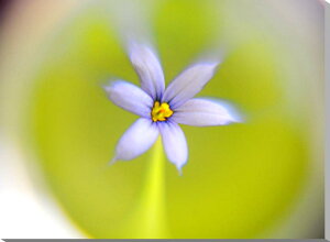 iʐ^pl j[LVE LoXn CeA A[gpl OtBbN EH[fR fBXvC {^jJ pl ʐ^ Ǐ Ǌ| zv炸 ͗lւ ͋C 