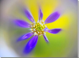 iʐ^pl ~RX LoXn CeA A[gpl OtBbN EH[fR fBXvC {^jJ pl ʐ^ Ǐ Ǌ| zv炸 ͗lւ ͋C  