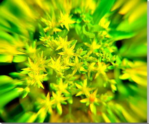 iʐ^pl c}lOT iNj A[gpl CeA fBXvC EH[fR pl ʐ^ v[g Mtg i ԗ j  Vz z oY a 