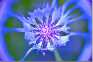 iʐ^pl ԋe iO}MNj {^jJ CeA A[gpl pl ʐ^ OtBbN EH[fR Ǌ| Ǐ zv炸 ͗lւ ͋C  IV ₵ 