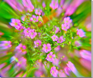 iʐ^pl ݑiJX~\Ej{^jJ A[gpl CeA pl ʐ^ Ǌ| Ǐ zv炸 ͗lւ ͋C  rO _CjO ItBX  v[g