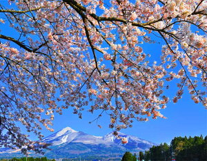 iʐ^pl  c㒬 쌅n̍ 09 CeA ʐ^ pl  t iF Ǌ| Ǐ ͗lւ ͋C rO _CjO ItBX  FUK-KKNGSS-09-P25