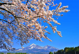 iʐ^pl  c㒬 쌅n̍ 06 CeA pl ʐ^  t iF Ǌ| Ǐ ͗lւ ͋C rO _CjO ItBX  FUK-KKNGSS-06-M30