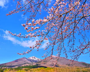 iʐ^pl  c ֒Rƍ 02 CeA pl ʐ^ t R  iF Ǌ| Ǐ ͗lւ ͋C ₵ IV rO _CjO ItBX  FUK-BDSS-02-F20