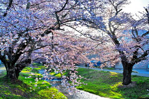 iʐ^|X^[  c㒬 쌅 ω̍ƒ 28 CeA Ǌ| Ǐ ͗lւ ͋C rO _CjO ItBX  IV _ ₵ PSHANA-41