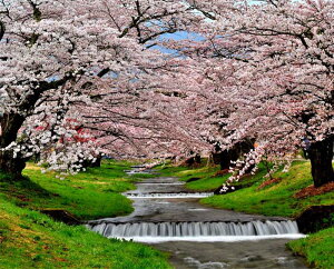 iʐ^pl  c㒬 쌅 ω ƒ 21 CeA pl ʐ^  t iF Ǌ| Ǐ ͗lւ ͋C  rO _CjO ItBX  FUK-KNJ-21-F20