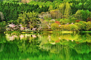 iʐ^|X^[  n[gCN c CeA |X^[ ʐ^  t iF R v[g Mtg j  Vz a w  l ̓ ̓ LO PSHANA-O01