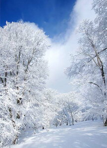 風景写真パネル 福島 箕輪山 01 霧氷 アートパネル インテリア 壁飾り 壁掛け 額要らず 模様替え 雰囲気作り 玄関 リビング オフィス ロビー プレゼント ギフト お祝い 結婚祝い 新築祝い 引