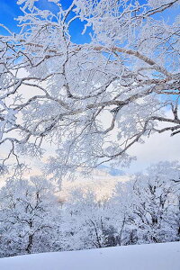 iʐ^pl  ֎R 03 v[g Mtg i ԗ j  Vz z a LO Nj EH[fR A[gpl OtBbN CeA  Ǐ Ǌ| HYO-