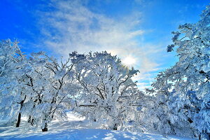 iʐ^pl  ֎R X 12 }eBbN ~iF 厩R  CeA v[g Mtg j j Vzj zj aj LO ̎vo  MNW-MH