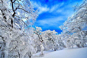 iʐ^pl  ֎R X 08 A[gpl CeA Ǐ Ǌ| zv炸 ͗lւ ͋C  rO ItBX r[ v[g Mtg j j Vzj 