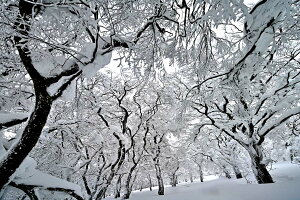 iʐ^pl  ֎R X 35 }eBbN ~iF 厩R  CeA v[g Mtg j j Vzj zj aj LO ̎vo  MNW-MH