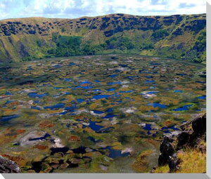 iʐ^pl EY C[X^[ mEJEΌ Y  R A[gpl CeA fBXvC EH[fR pl ʐ^ ͗lւ ͋C ̎vo  ItBX 