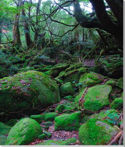 iʐ^pl EY v ̂̂P̐X J_ 12 CeA ₵  Ǐ Ǌ| zv炸 ͗lւ ͋C  rO ItBX r[ j Mtg v