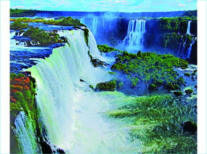 |XgJ[h COAX̑ uW i ʐ^ 厩R  Oez ͂ t O[eBOJ[h G߂̕ւ A  ̎vo PSC-60