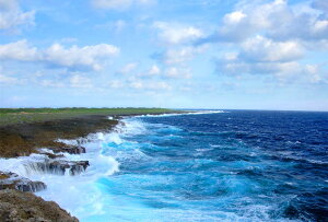 |XgJ[h  gƊԓ {œ[̖ ߍ PSC-02 i ʐ^ v[g  ̎vo ւ bZ[WJ[h A  O[eBO J[h G͂ Gt NX}XJ