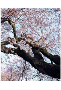 iʐ^pl  yY ^珬wZ  02 {^jJ A[gpl CeA OtBbN ʐ^ pl Ǐ Ǌ| zv炸 ͗lւ ͋C  ₵ q[O IV 