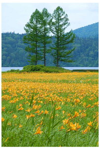 iʐ^pl  jbRELXQ {^jJ CeA A[gpl v[g Mtg LOi j Vz z  oY a w  l AE LO PO-18-F20