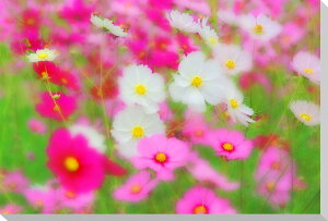 iʐ^pl RXX A[gpl CeA fBXvC EH[fR Ǐ Ǌ| zv炸 ͗lւ ͋C  ̎vo rO ItBX  {^jJ Ԕ 